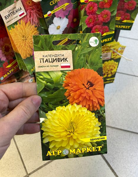 календула Пацифик